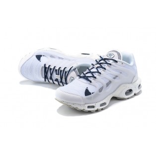 Nike Air Max Terrascape Plus Pour Homme Blanc DC6078-100