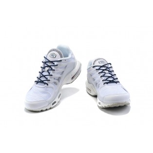 Nike Air Max Terrascape Plus Pour Homme Blanc DC6078-100