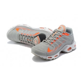 Nike Air Max Terrascape Plus Pour Homme gris rouge DC6078-400