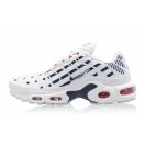 Nike Wmns Air Max Plus TN/Tuned SE France Blanc CI9103-100 Pour Homme