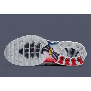 Nike Wmns Air Max Plus TN/Tuned SE France Blanc CI9103-100 Pour Homme