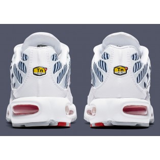 Nike Wmns Air Max Plus TN/Tuned SE France Blanc CI9103-100 Pour Homme