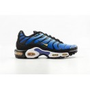 Officiel Chaussure Nike Tuned Air Max Plus OG bleu/Chamois BQ4629-003