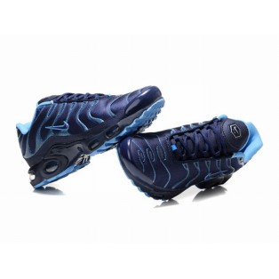 Nike Air Max Tn Reque 2014/Tuned 1 Chaussures Pour Homme Bleu
