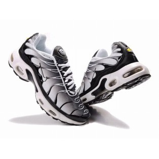 Nike Air Max Tn Requin/Tuned 1 (Mesh) Chaussures Pour Homme Gris/Noir 604133-ID5