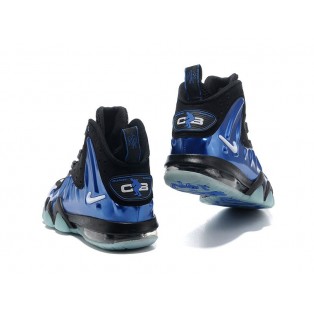 Nike Barkley Posite Max Chaussures De Basket-Ball Pour Homme Noir/Bleu