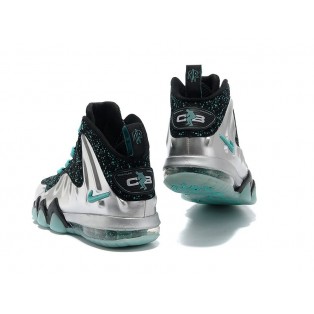 Nike Barkley Posite Max Chaussures De Boutique Basket-Ball Pour Homme Argent/Vert 555097-040