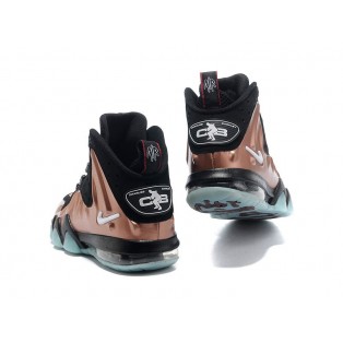 Nike Barkley Posite Max Chaussures De Boutique Basket-Ball Pour Homme Noir/Brun/Bleu
