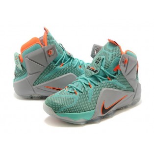 Nike Lebron 12/XII - Chaussures Nike Baskets Nouvelle Pour Homme Gris/Noir 684593-301