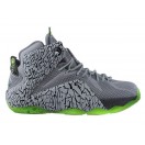Nike Lebron 12/XII - Chaussures Nike Baskets Nouvelle Pour Homme Gris/Vert 684493-607